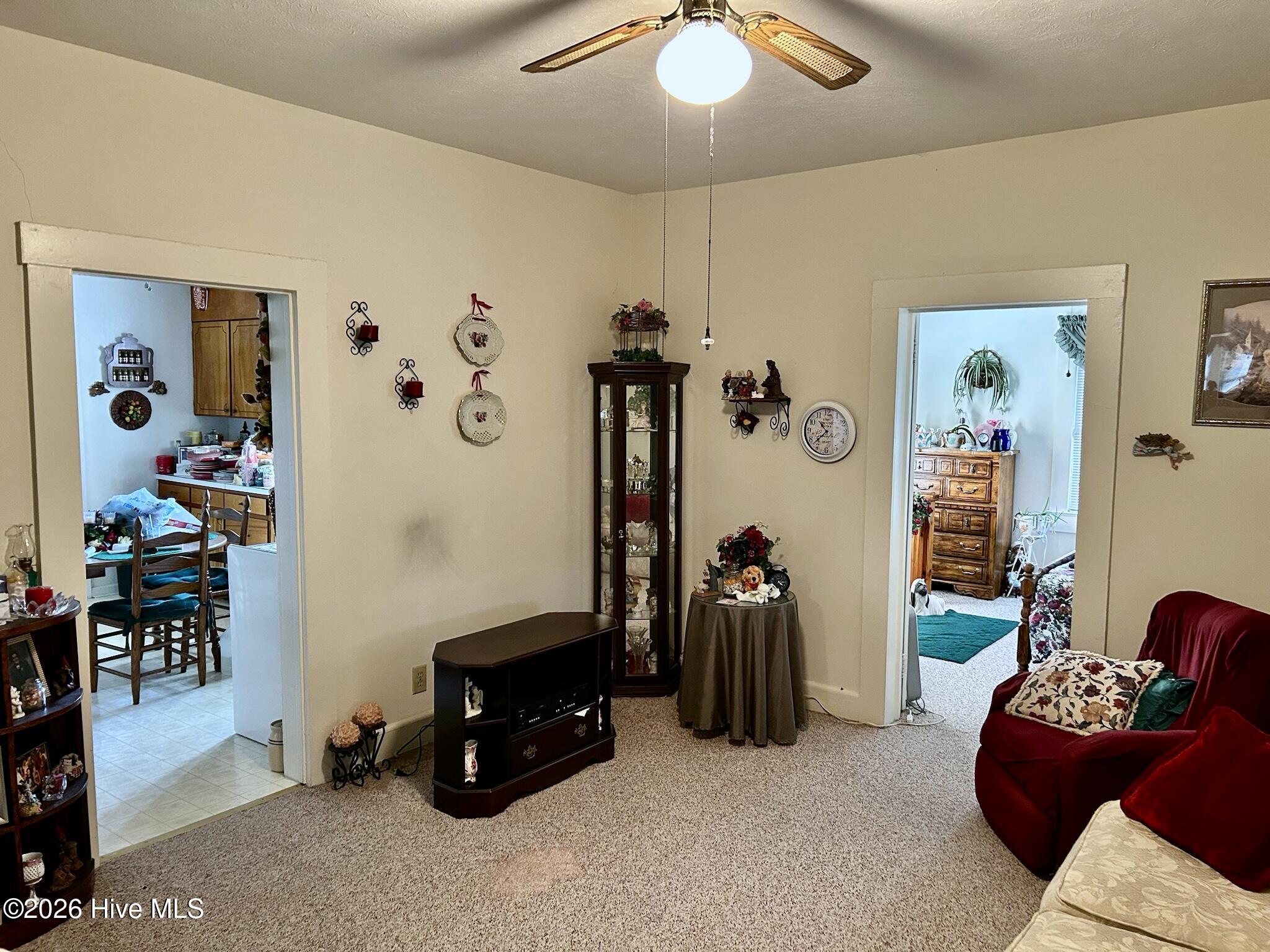 170 Hannah Pickett Avenue Rockingham, NC 28379 - Photo 14 of 33 living room