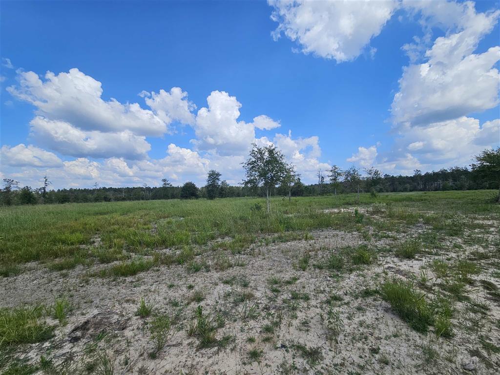 3 Rte 66 Road Dequincy, LA 70633 - Photo 2 of 5
