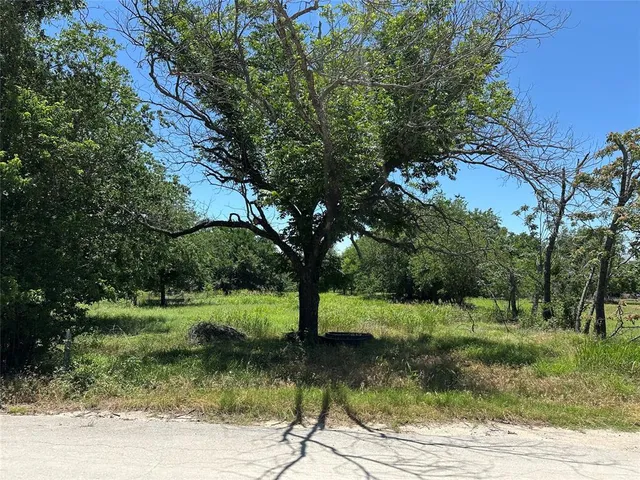 a view of a park with large trees