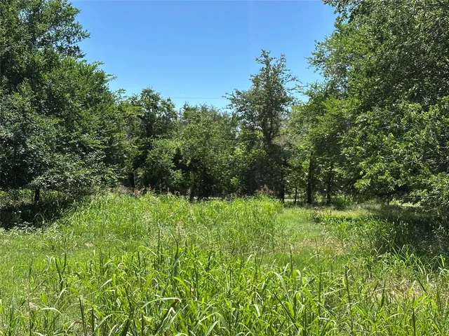 a view of backyard with green space