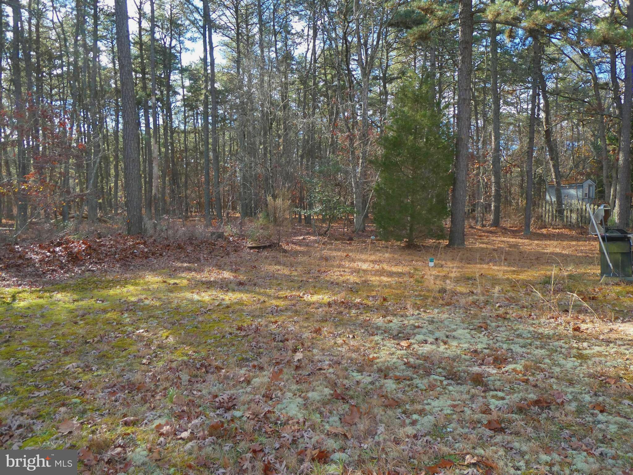 827 Anthony Road Atco, NJ 08004 - Photo 20 of 20