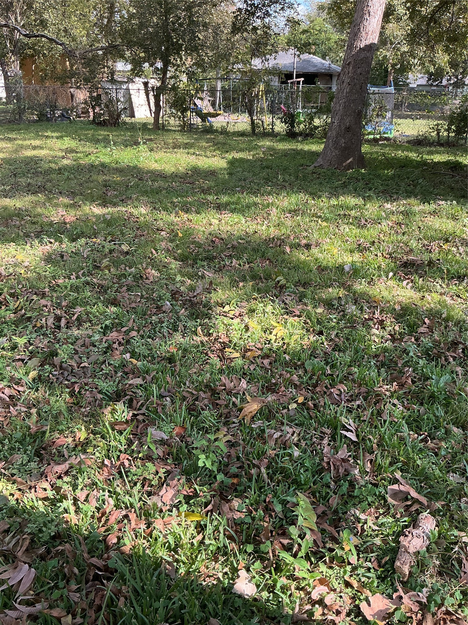 3013 Reid Street Houston, TX 77026 - Photo 13 of 17 a view of a yard with a tree
