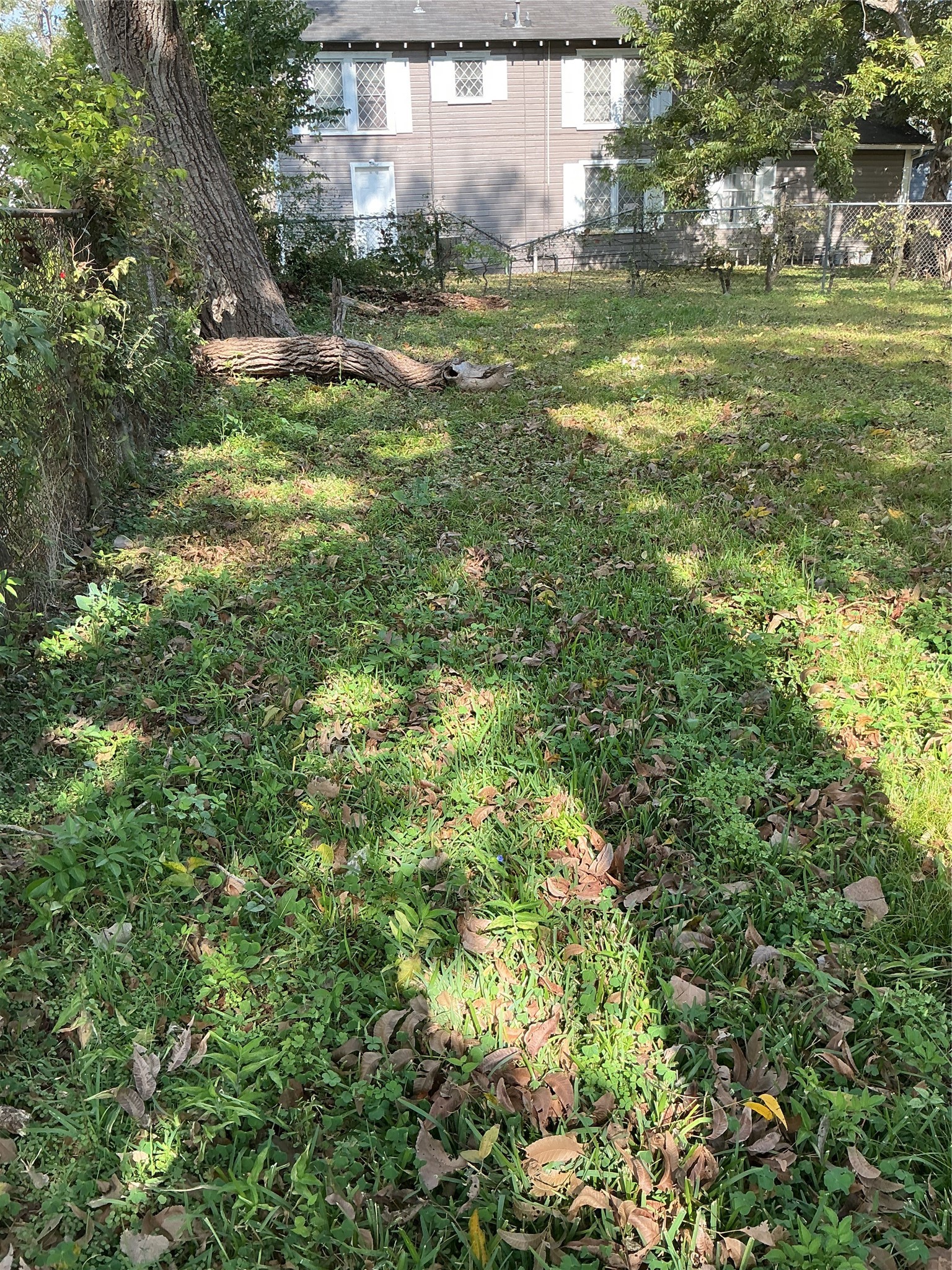 3013 Reid Street Houston, TX 77026 - Photo 15 of 17 a view of a big yard with an trees
