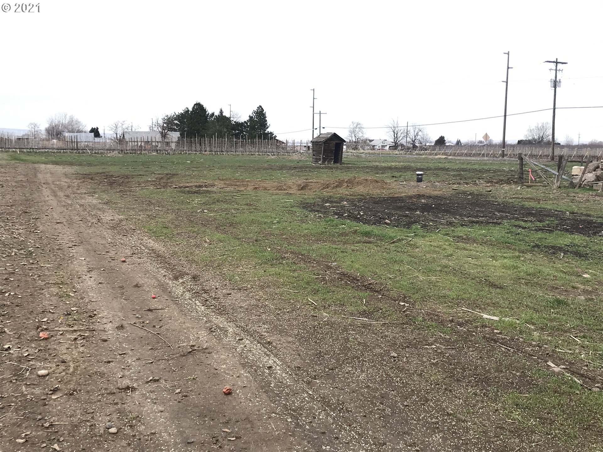 84308 Winesap Road Milton Freewater, OR 97862 - Photo 1 of 1 Gallery Image 1