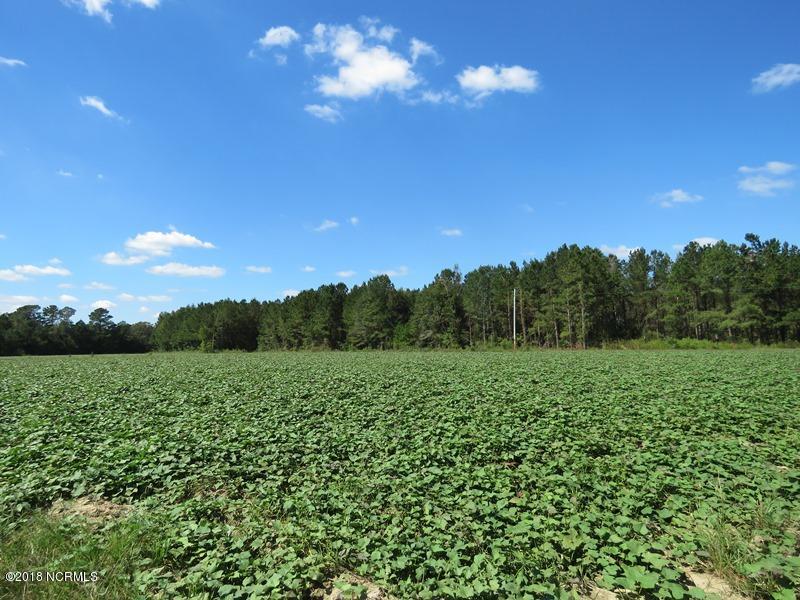 0 Paul Barnes Road Chadbourn, NC 28431 - Photo 2 of 11 2