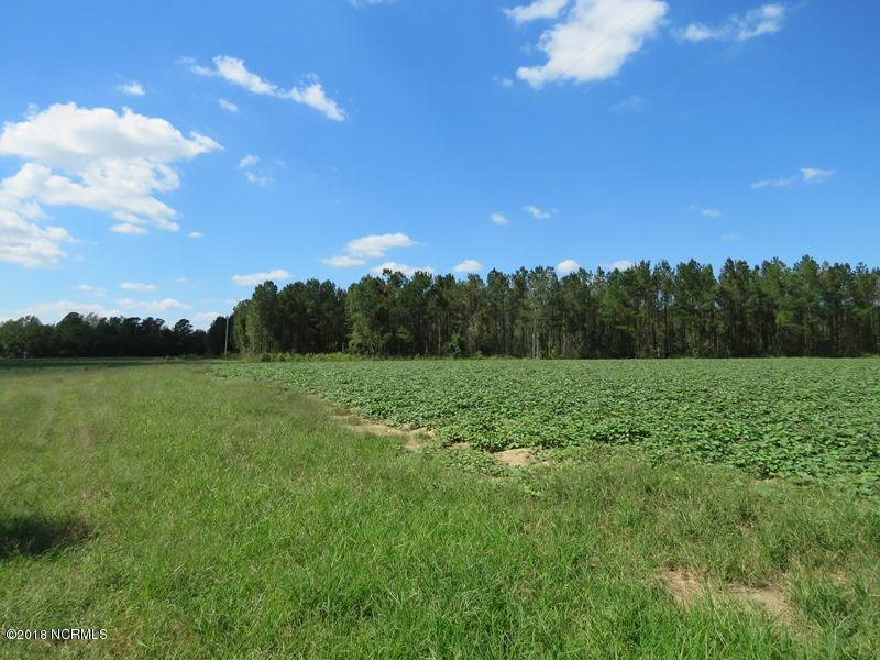 0 Paul Barnes Road Chadbourn, NC 28431 - Photo 6 of 11 6