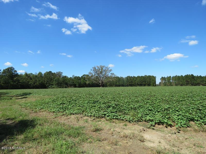 0 Paul Barnes Road Chadbourn, NC 28431 - Photo 10 of 11 10