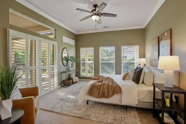 a bedroom with a large bed and a potted plant