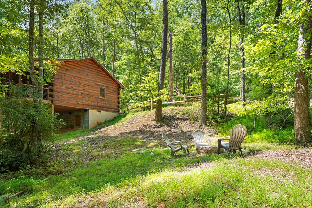 868 Granny Branch Drive Blue Ridge, GA 30513 - Photo 43 of 45 Gallery Image 43
