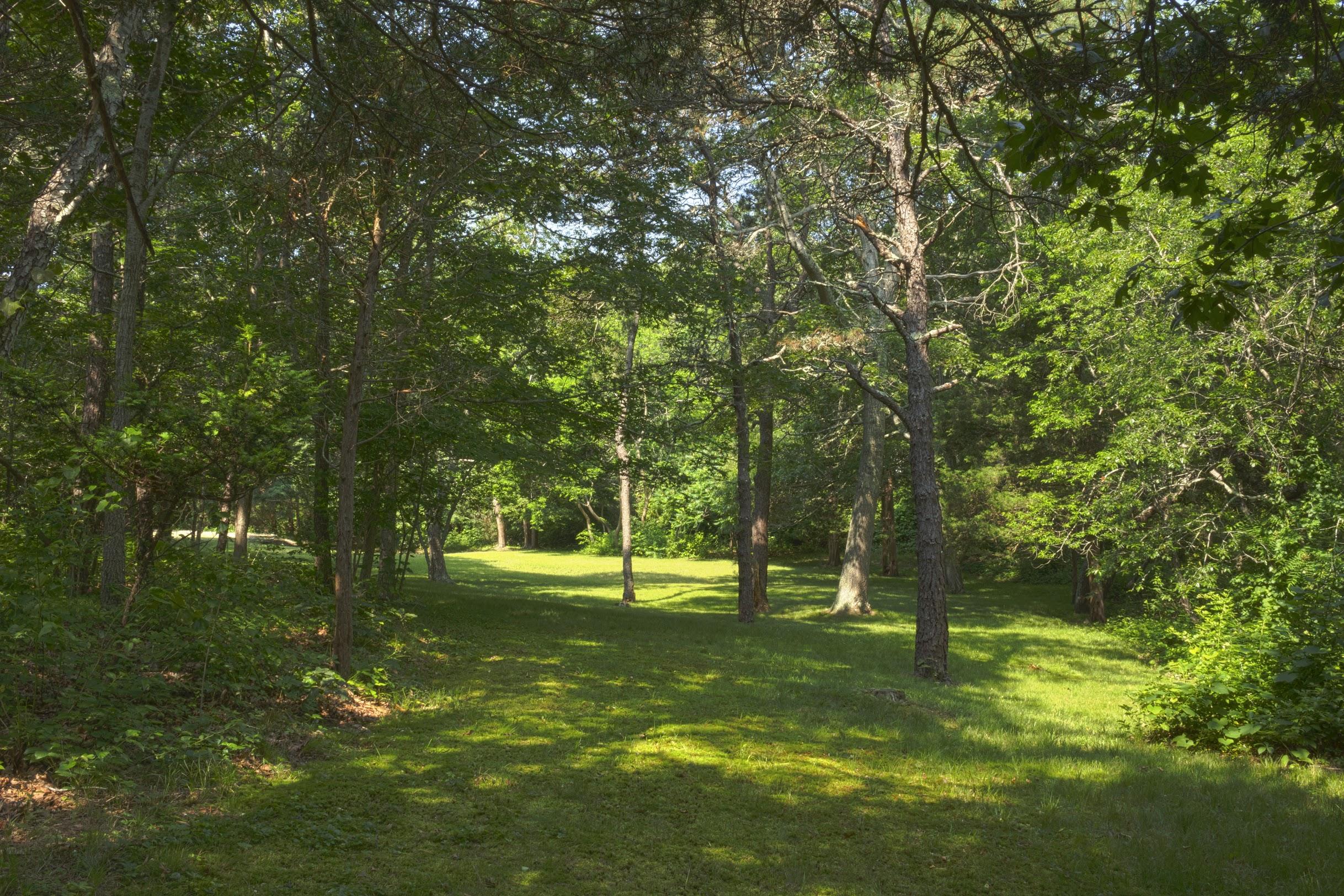 232 Old County Road East Sandwich, MA 02537 - Photo 10 of 26 13 REP Richard Website Image '18