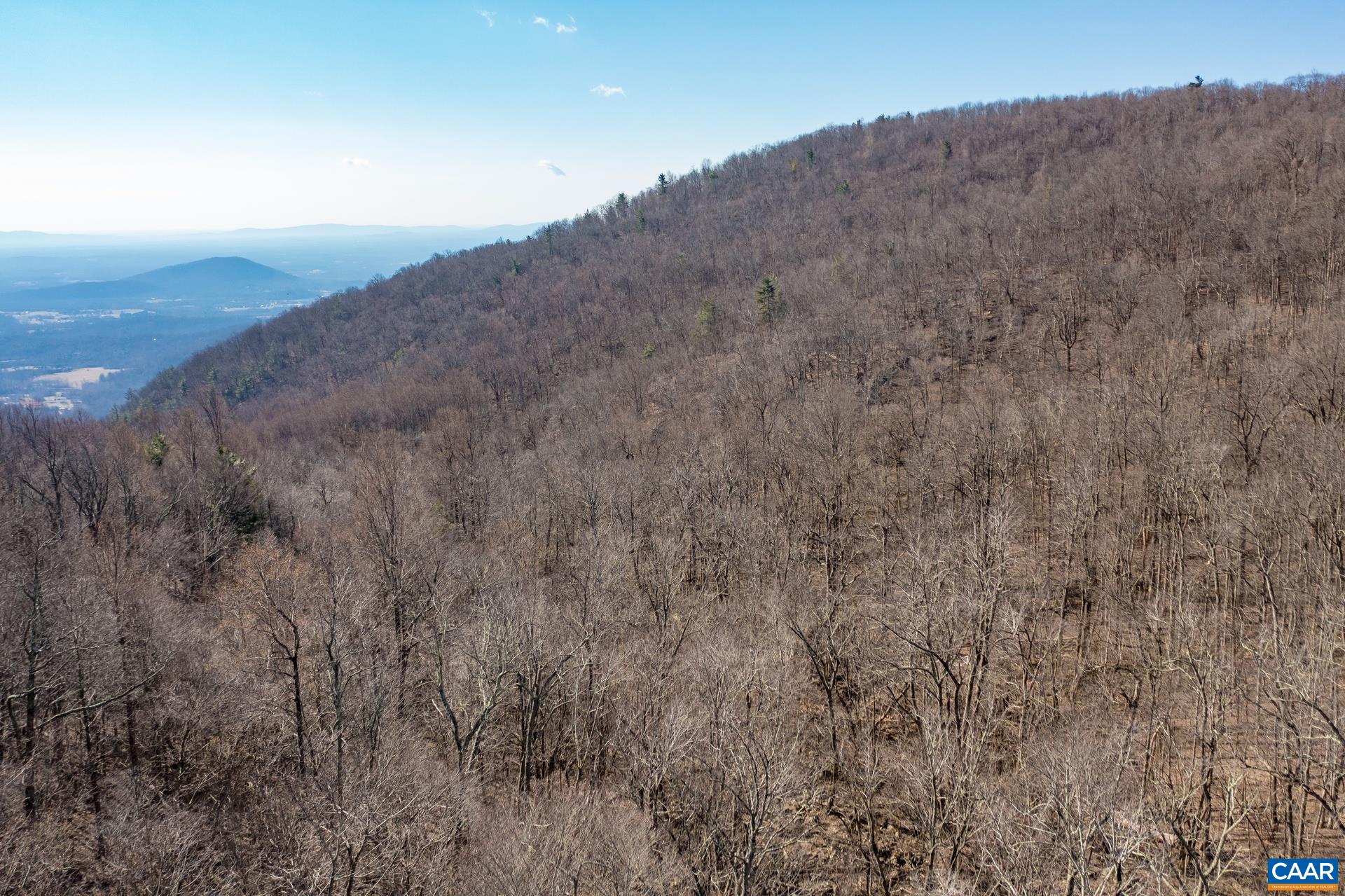 Lot 0 Snow Mountain Road Stanardsville, VA 22973 - Photo 8 of 10 Gallery Image 8
