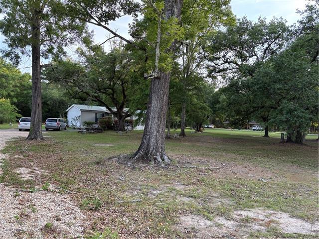 759 Brewster Road Madisonville, LA 70447 - Photo 8 of 12
