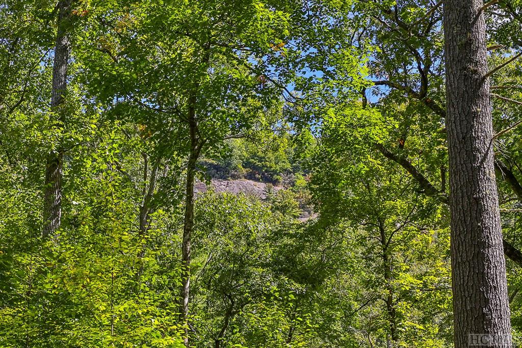 Lot 86 Flagstone Road Sapphire, NC 28774 - Photo 14 of 45 Gallery Image 14