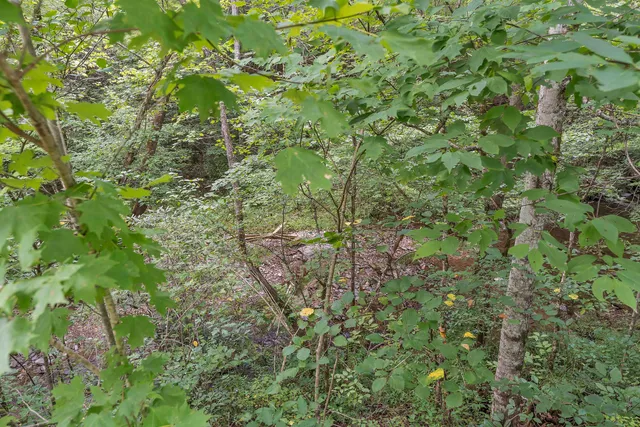 $75,000 | 521 Archville Road, Reliance, TN 37369