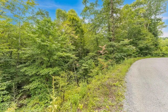 $75,000 | 521 Archville Road, Reliance, TN 37369