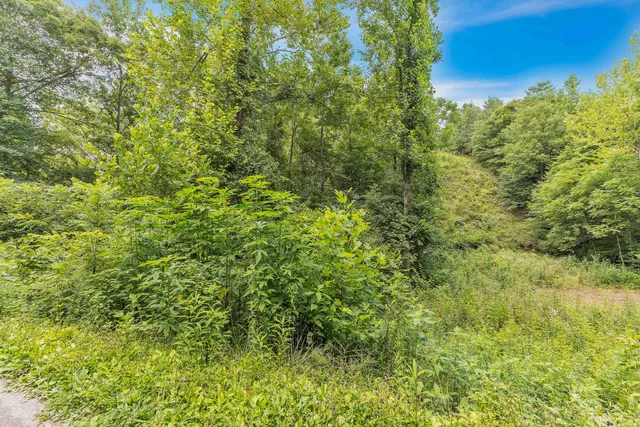 $75,000 | 521 Archville Road, Reliance, TN 37369