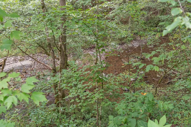 $75,000 | 521 Archville Road, Reliance, TN 37369