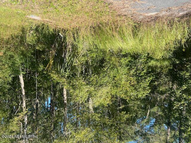 0 Old Dixie Highway Callahan, FL 32011 - Photo 1 of 5 a view of a yard