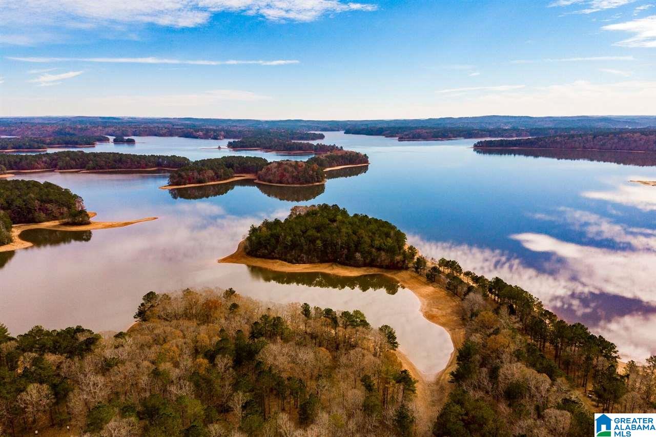 Lot # Jackson Trail, Unit 15 Lineville, AL 36266 - Photo 8 of 17