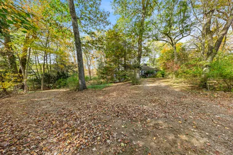 a view of a yard with large trees