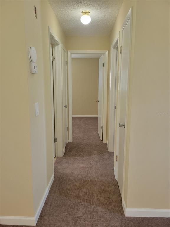 9022 Lingrove Road Weeki Wachee, FL 34613 - Photo 16 of 50