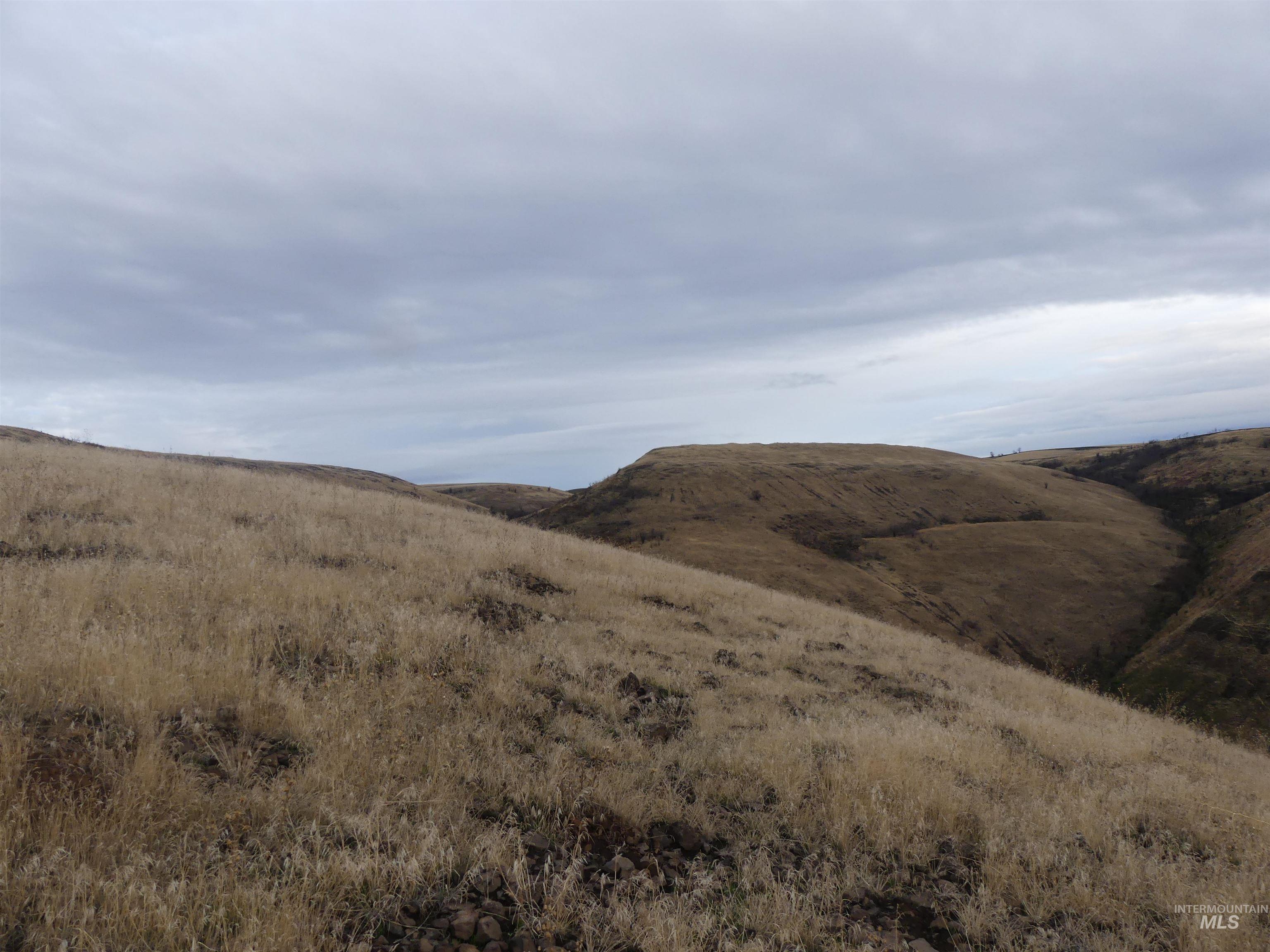 17550 Stoney Point Road Juliaetta, ID 83535 - Photo 12 of 37 View of mountain background