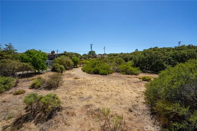 a view of a dry yard with trees