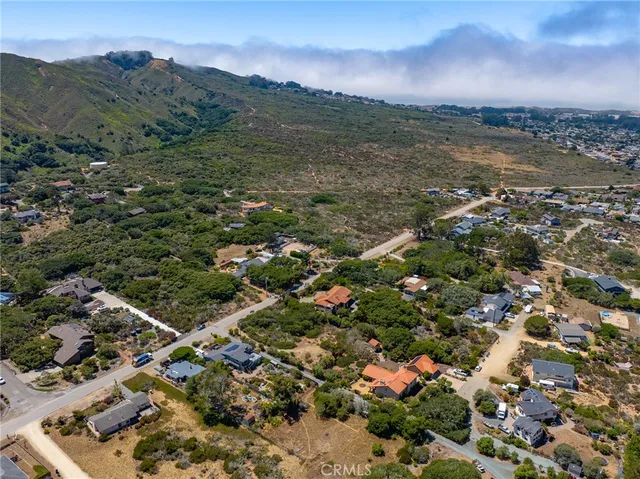 an aerial view of residential houses with outdoor space and trees