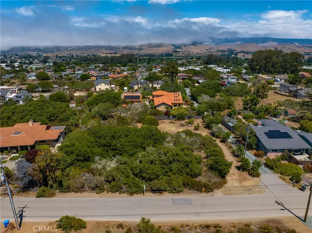 an aerial view of residential houses with outdoor space and trees