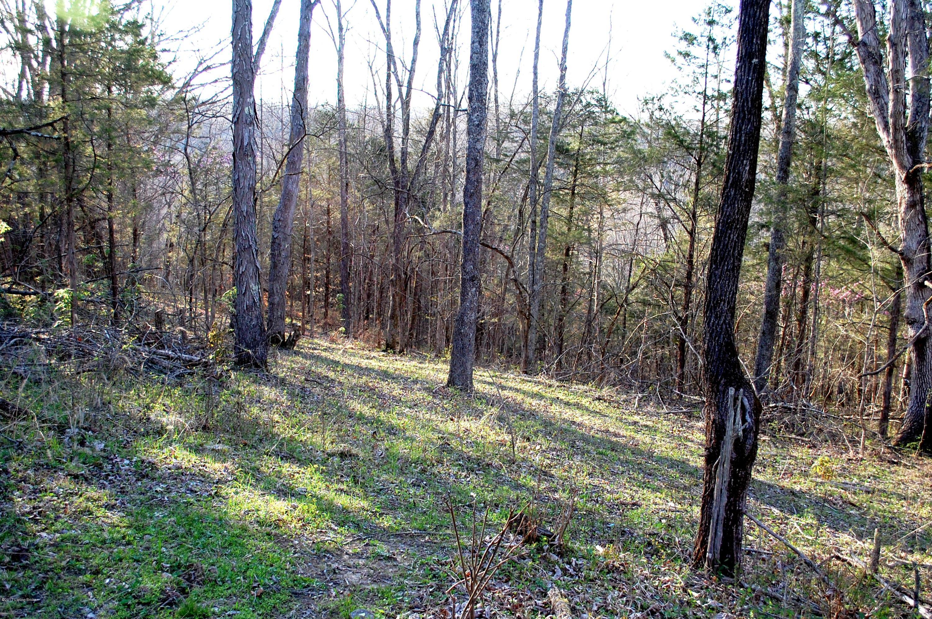 1 Bentley Road Mount Eden, KY 40046 - Photo 5 of 7 4
