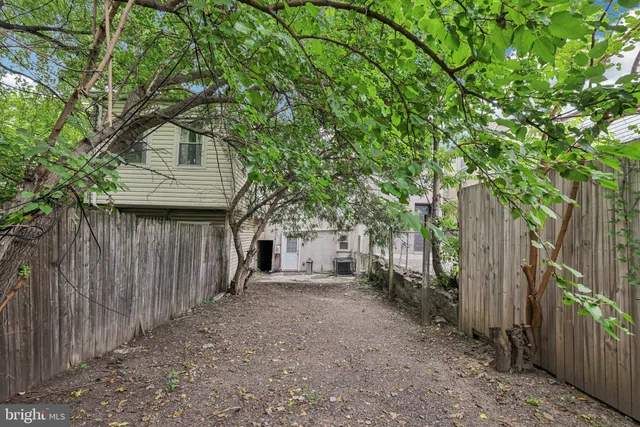 a view of a backyard with large trees and wooden fence