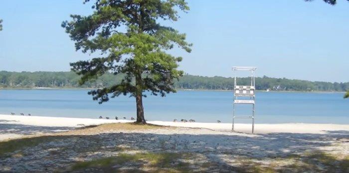 29 Snake Pond Road Forestdale, MA 02644 - Photo 18 of 18 a view of a lake