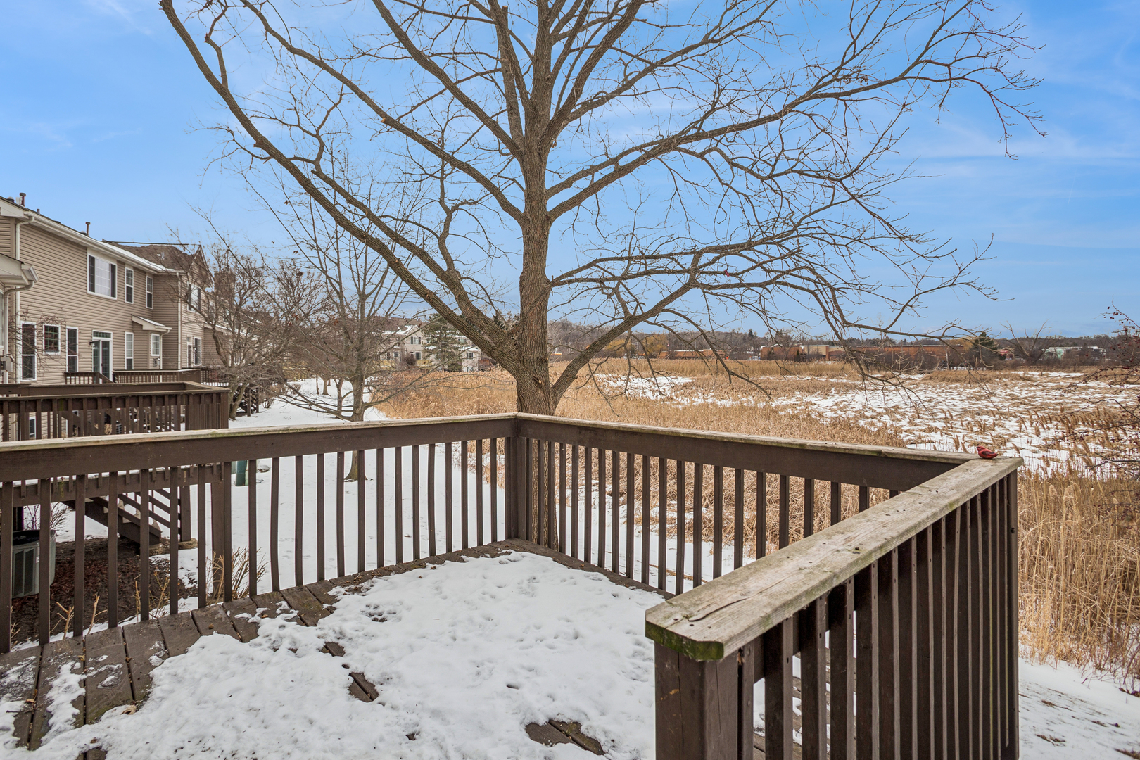 26 Blue Stem Court Streamwood, IL 60107 - Photo 19 of 23