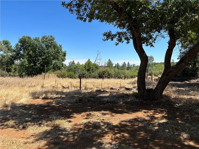 a view of a yard with trees