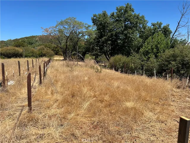 a view of a yard with a tree