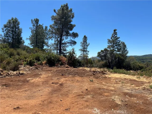 a view of a dry yard with trees