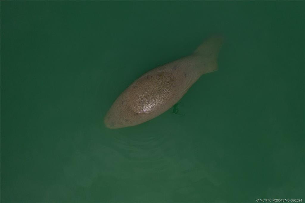 0 Jacobs Road Fort Pierce, FL 34982 - Photo 23 of 23 a view of a backyard