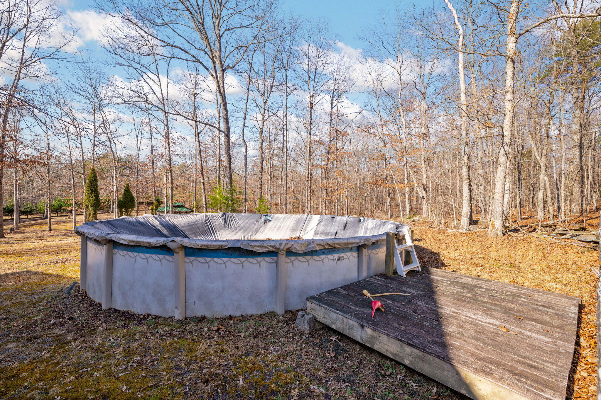 183 Reynolds Road Dunlap, TN 37327 - Photo 31 of 51 33-web-or-mls-DSC_4466