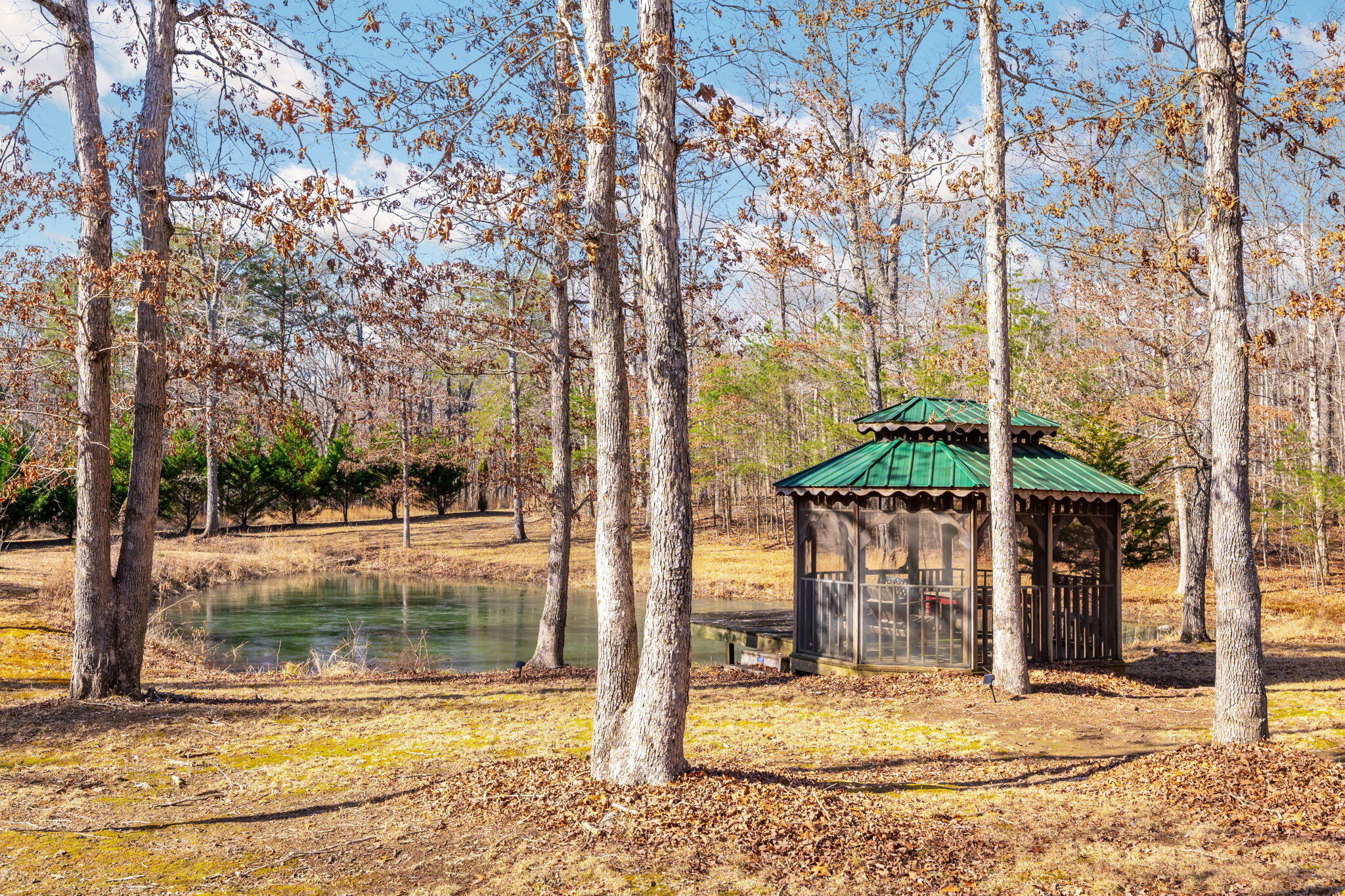 183 Reynolds Road Dunlap, TN 37327 - Photo 33 of 51 35-web-or-mls-DSC_4474