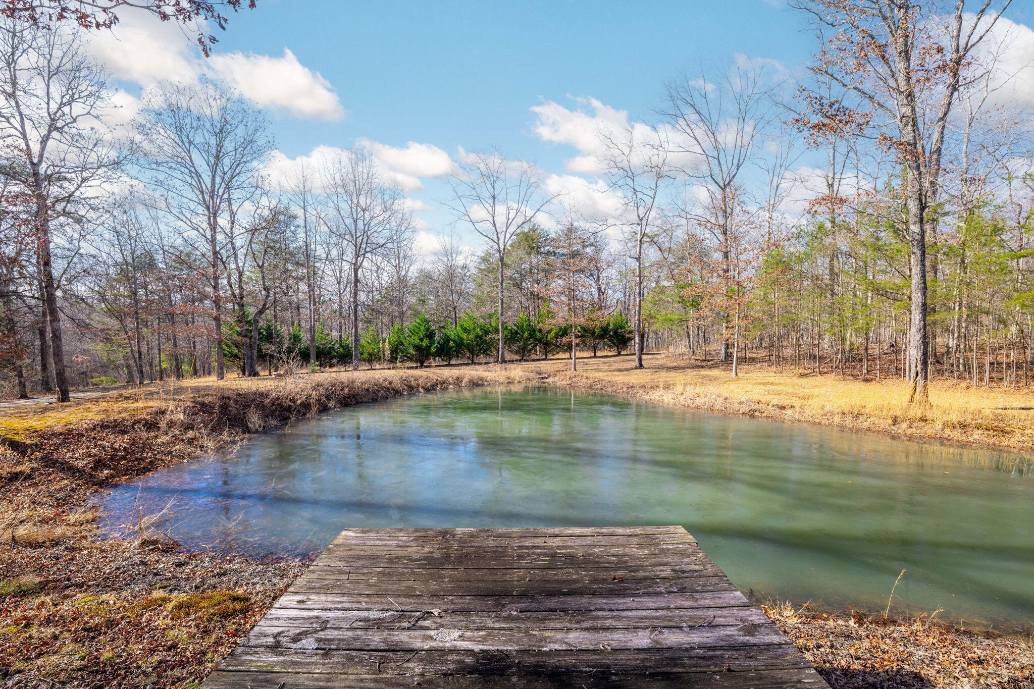 183 Reynolds Road Dunlap, TN 37327 - Photo 35 of 52 36-web-or-mls-DSC_4475