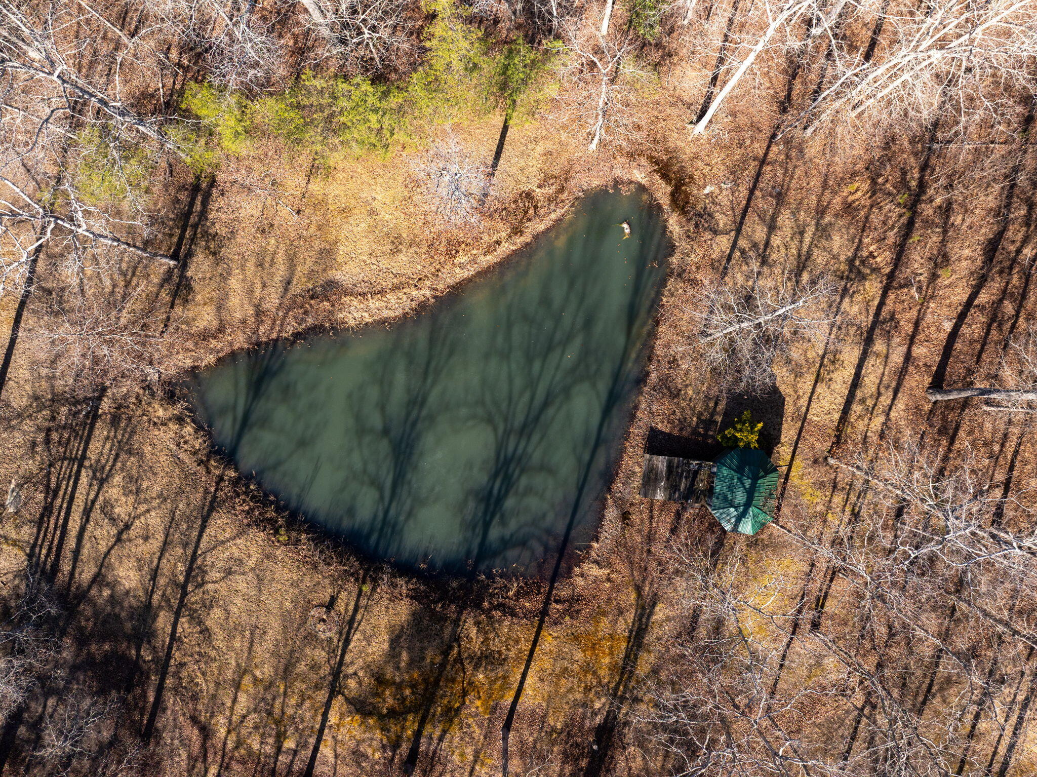 183 Reynolds Road Dunlap, TN 37327 - Photo 40 of 51 42-web-or-mls-DJI_20260115191715_0670_D-