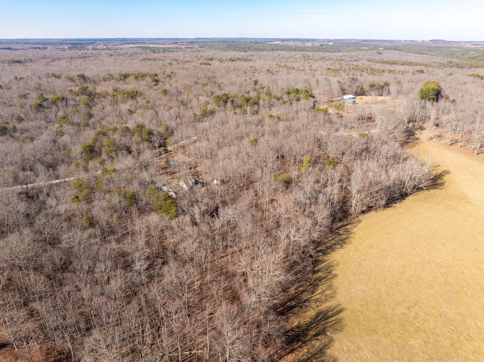 183 Reynolds Road Dunlap, TN 37327 - Photo 44 of 51 46-web-or-mls-DJI_20260115191907_0675_D-
