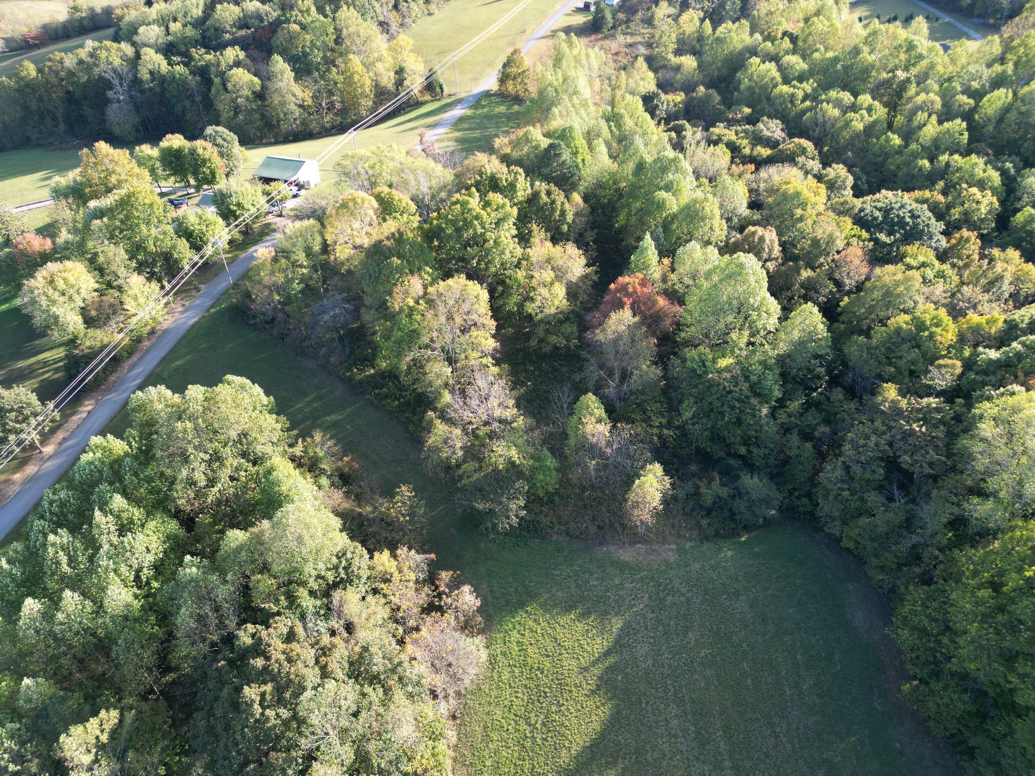 1120 Old Mt Vernon Road Bethpage, TN 37022 - Photo 3 of 22 land is to the right of the road