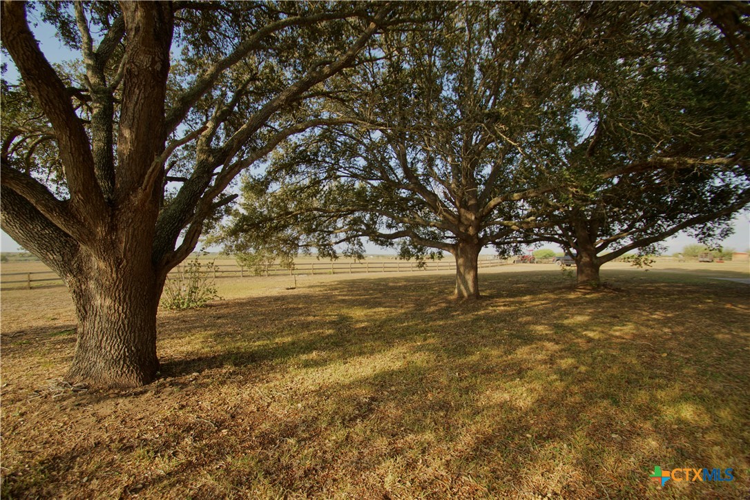 1891 Dworaczyk Road Yorktown, TX 78164 - Photo 2 of 45