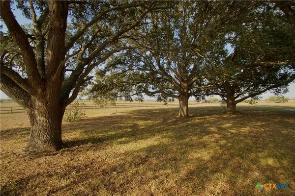 a view of large trees with yard