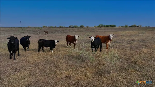 a view of a lake with outdoor space
