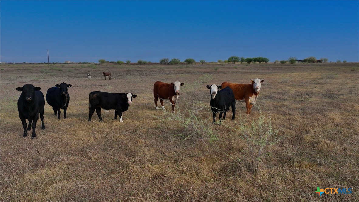 1891 Dworaczyk Road Yorktown, TX 78164 - Photo 35 of 45