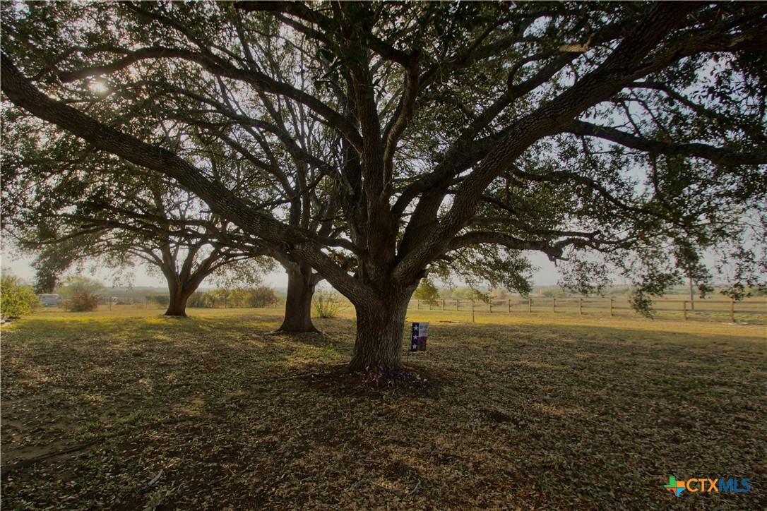 1891 Dworaczyk Road Yorktown, TX 78164 - Photo 8 of 45