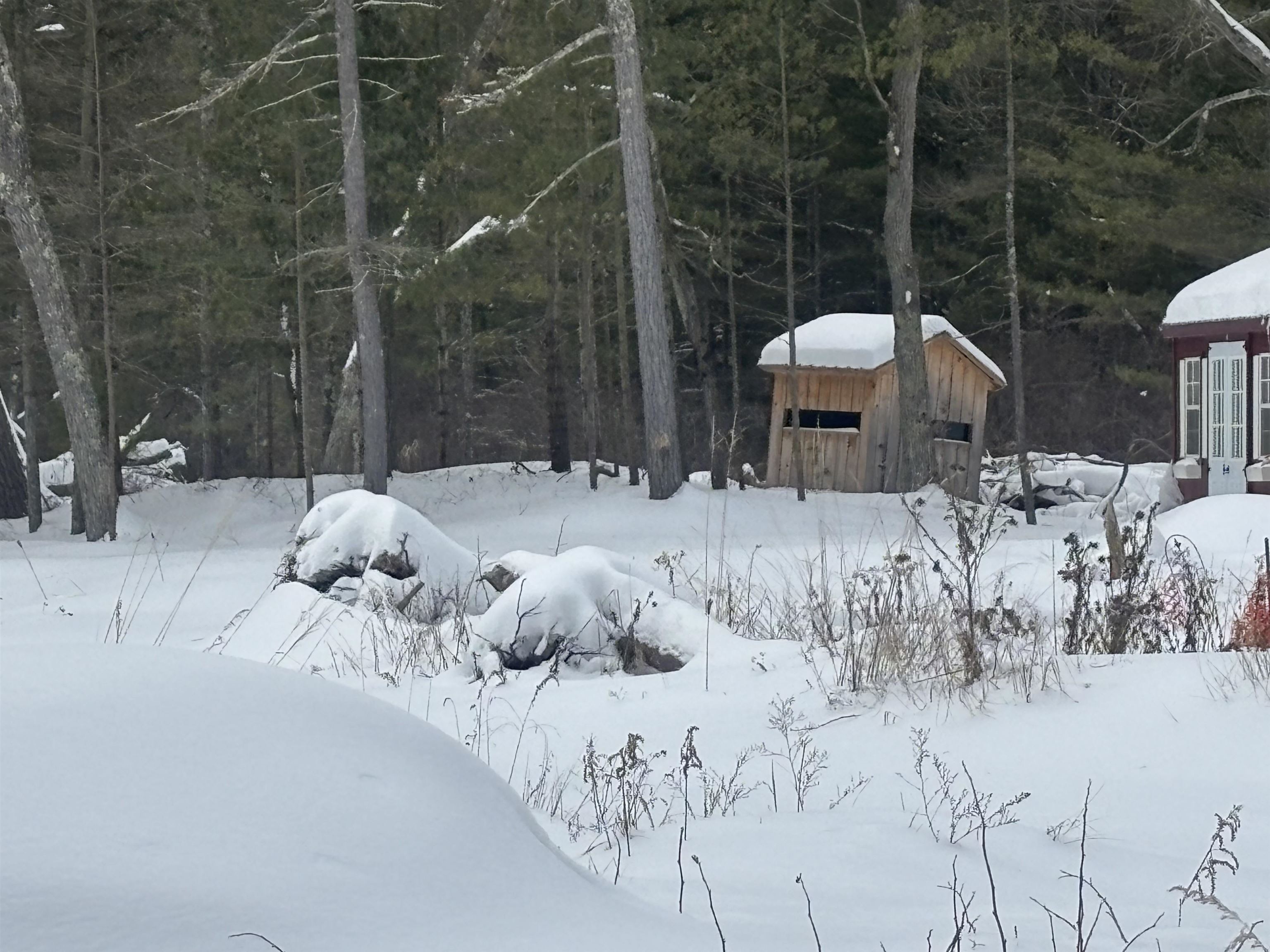 2201 Ausable Point Road East Tawas, MI 48730 - Photo 5 of 11