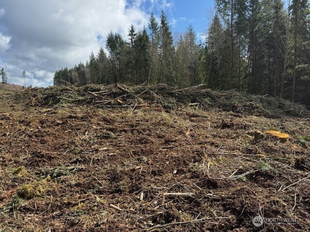 1 August Road Onalaska, WA 98570 - Photo 4 of 10 Gallery Image 4